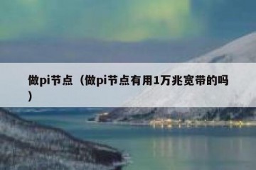 做pi节点（做pi节点有用1万兆宽带的吗）