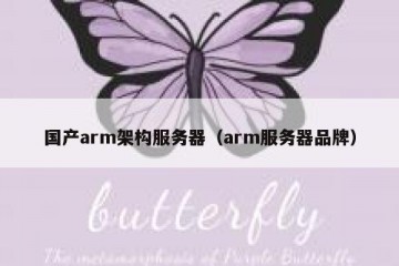 国产arm架构服务器（arm服务器品牌）