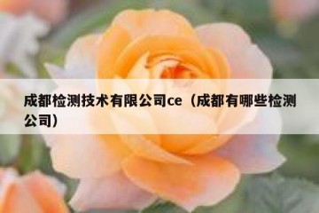 成都检测技术有限公司ce（成都有哪些检测公司）