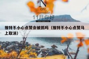 推特不小心点赞会被抓吗（推特不小心点赞马上取消）