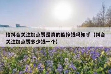 给抖音关注加点赞是真的能挣钱吗知乎（抖音关注加点赞多少钱一个）