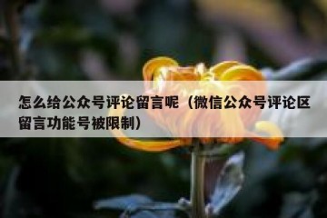 怎么给公众号评论留言呢（微信公众号评论区留言功能号被限制）