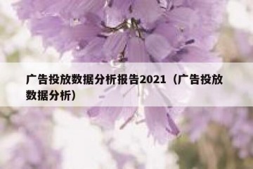 广告投放数据分析报告2021（广告投放 数据分析）