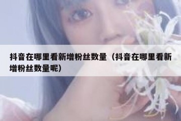 抖音在哪里看新增粉丝数量（抖音在哪里看新增粉丝数量呢）