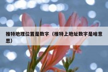 推特地理位置是数字（推特上地址数字是啥意思）