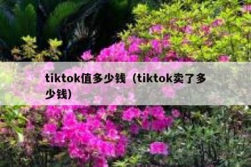 tiktok值多少钱（tiktok卖了多少钱）