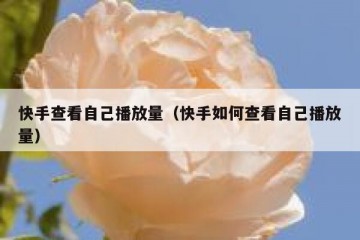 快手查看自己播放量（快手如何查看自己播放量）