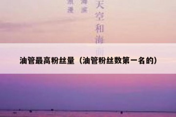 油管最高粉丝量（油管粉丝数第一名的）