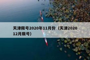 天津限号2020年11月份（天津202012月限号）