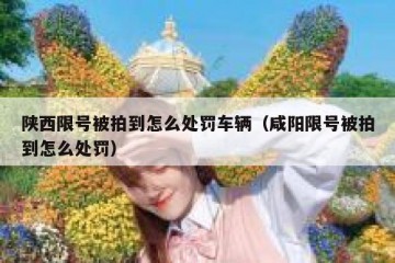 陕西限号被拍到怎么处罚车辆（咸阳限号被拍到怎么处罚）