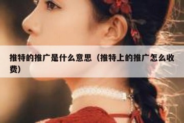 推特的推广是什么意思（推特上的推广怎么收费）