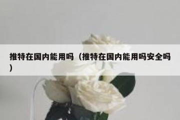 推特在国内能用吗（推特在国内能用吗安全吗）