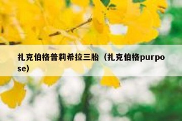 扎克伯格普莉希拉三胎（扎克伯格purpose）