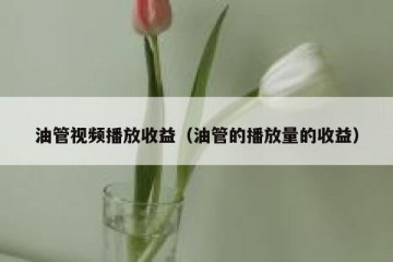 油管视频播放收益（油管的播放量的收益）