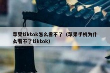 苹果tiktok怎么看不了（苹果手机为什么看不了tiktok）