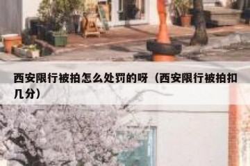 西安限行被拍怎么处罚的呀（西安限行被拍扣几分）