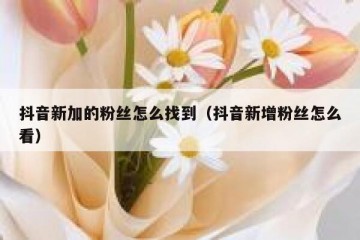 抖音新加的粉丝怎么找到（抖音新增粉丝怎么看）