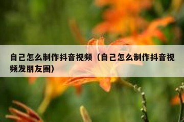 自己怎么制作抖音视频（自己怎么制作抖音视频发朋友圈）