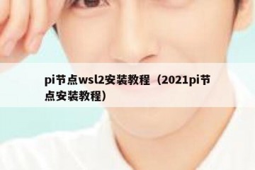 pi节点wsl2安装教程（2021pi节点安装教程）