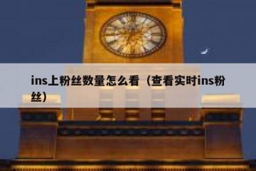ins上粉丝数量怎么看（查看实时ins粉丝）