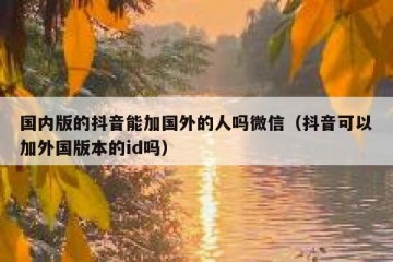 国内版的抖音能加国外的人吗微信（抖音可以加外国版本的id吗）