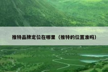 推特品牌定位在哪里（推特的位置准吗）