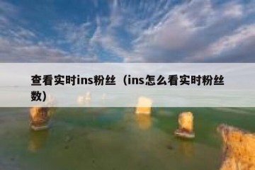 查看实时ins粉丝（ins怎么看实时粉丝数）