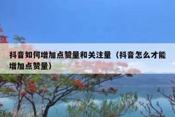 抖音如何增加点赞量和关注量（抖音怎么才能增加点赞量）