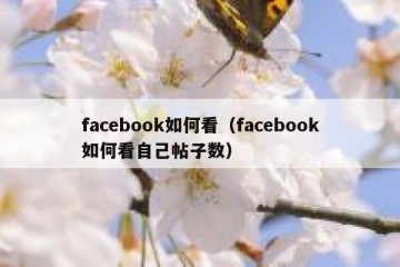 facebook如何看（facebook如何看自己帖子数）