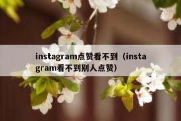instagram点赞看不到（instagram看不到别人点赞）