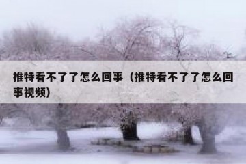 推特看不了了怎么回事（推特看不了了怎么回事视频）