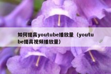 如何提高youtube播放量（youtube提高视频播放量）