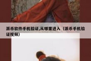 派币软件手机验证,从哪里进入（派币手机验证视频）