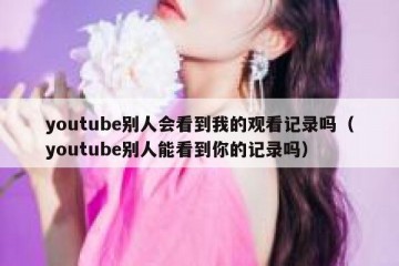 youtube别人会看到我的观看记录吗（youtube别人能看到你的记录吗）