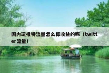 国内玩推特流量怎么算收益的呢（twitter流量）