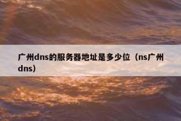 广州dns的服务器地址是多少位（ns广州dns）