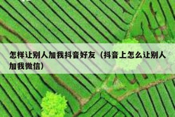 怎样让别人加我抖音好友（抖音上怎么让别人加我微信）