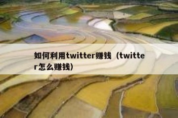 如何利用twitter赚钱（twitter怎么赚钱）