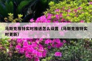 马斯克推特实时推送怎么设置（马斯克推特实时更新）