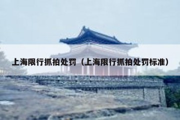 上海限行抓拍处罚（上海限行抓拍处罚标准）