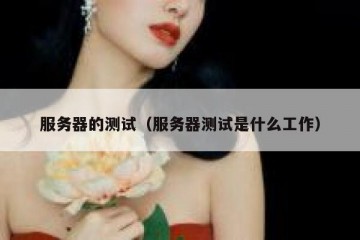 服务器的测试（服务器测试是什么工作）