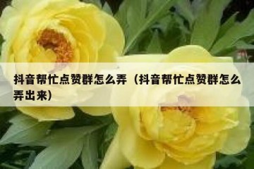 抖音帮忙点赞群怎么弄（抖音帮忙点赞群怎么弄出来）