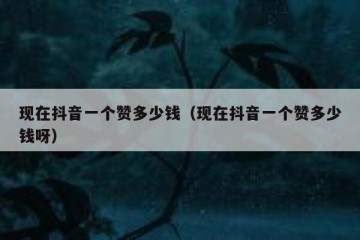 现在抖音一个赞多少钱（现在抖音一个赞多少钱呀）