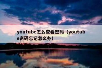 youtube怎么查看密码（youtube密码忘记怎么办）
