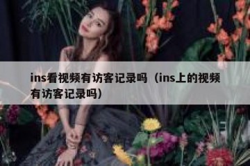 ins看视频有访客记录吗（ins上的视频有访客记录吗）
