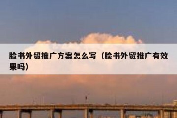 脸书外贸推广方案怎么写（脸书外贸推广有效果吗）