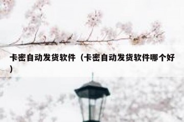 卡密自动发货软件（卡密自动发货软件哪个好）