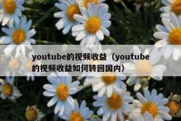 youtube的视频收益（youtube的视频收益如何转回国内）