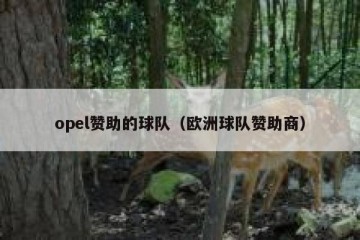 opel赞助的球队（欧洲球队赞助商）