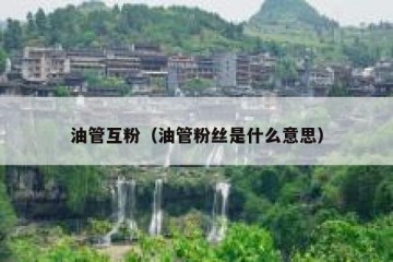 油管互粉（油管粉丝是什么意思）